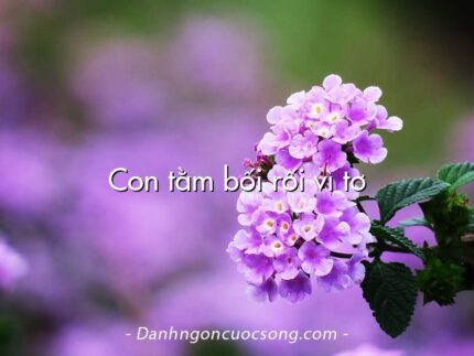 Con tằm bối rối vì tơ