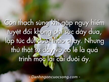 Con thạch sùng khi gặp nguy hiểm tuyệt đối không phí sức dây dưa, lập tức đứt đuôi tháo chạy. Nhưng thứ thật sự dày vò có lẽ là quá trình mọc lại cái đuôi ấy.