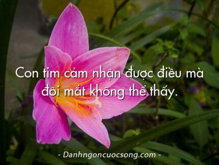 Con tim cảm nhận được điều mà đôi mắt không thể thấy.