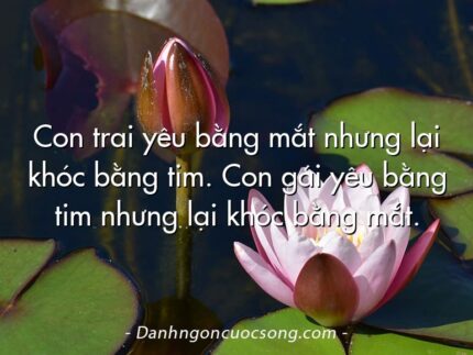 Con trai yêu bằng mắt nhưng lại khóc bằng tim. Con gái yêu bằng tim nhưng lại khóc bằng mắt.