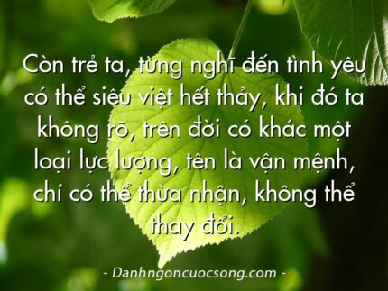 Còn trẻ ta, từng nghĩ đến tình yêu có thể siêu việt hết thảy, khi đó ta không rõ, trên đời có khác một loại lực lượng, tên là vận mệnh, chỉ có thể thừa nhận, không thể thay đổi.