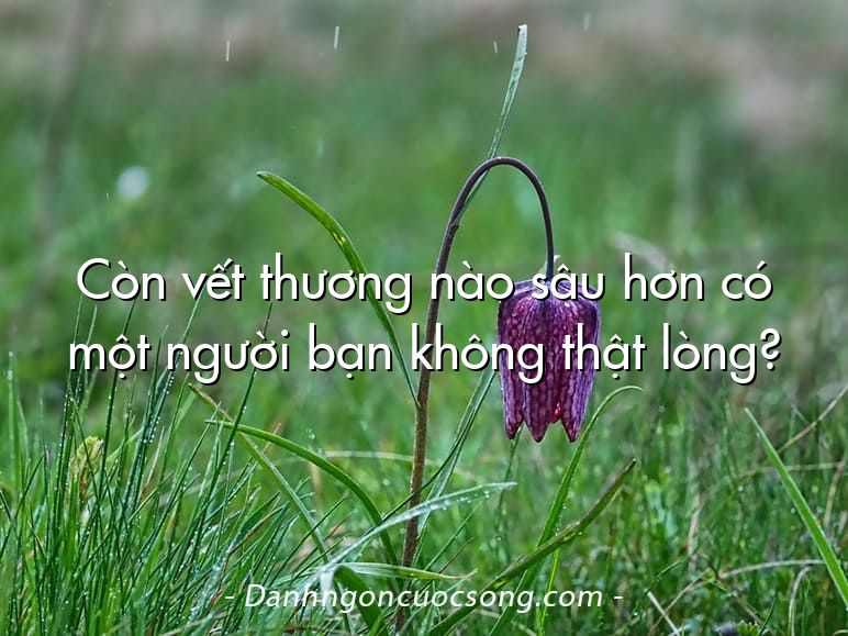 Còn vết thương nào sâu hơn có một người bạn không thật lòng?