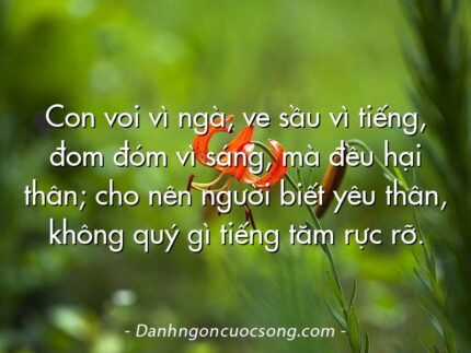 Con voi vì ngà, ve sầu vì tiếng, đom đóm vì sáng, mà đều hại thân; cho nên người biết yêu thân, không quý gì tiếng tăm rực rỡ.
