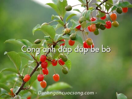 Công anh đắp đập be bờ