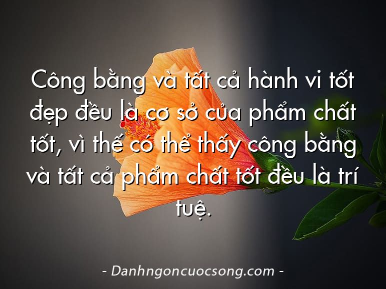 Công bằng và tất cả hành vi tốt đẹp đều là cơ sở của phẩm chất tốt, vì thế có thể thấy công bằng và tất cả phẩm chất tốt đều là trí tuệ.