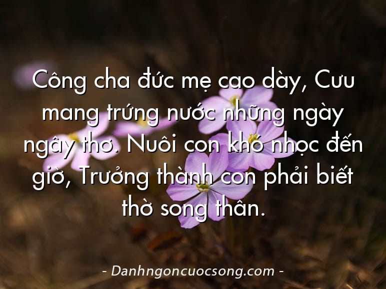 Công cha đức mẹ cao dày, Cưu mang trứng nước những ngày ngây thơ. Nuôi con khó nhọc đến giờ, Trưởng thành con phải biết thờ song thân.