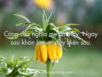 Công cha nghĩa mẹ ơn thầy. Ngày sau khôn lớn ơn dày biển sâu.