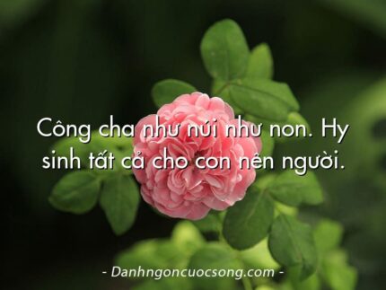 Công cha như núi như non. Hy sinh tất cả cho con nên người.