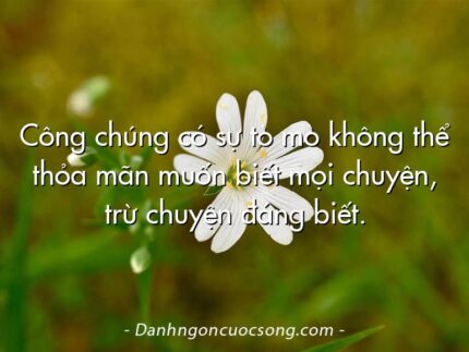 Công chúng có sự tò mò không thể thỏa mãn muốn biết mọi chuyện, trừ chuyện đáng biết.