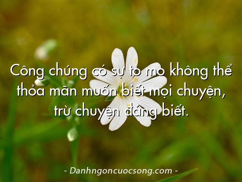 Công chúng có sự tò mò không thể thỏa mãn muốn biết mọi chuyện, trừ chuyện đáng biết.