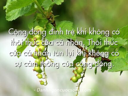 Cộng đồng đình trệ khi không có thôi thúc của cá nhân. Thôi thúc của cá nhân tàn lụi khi không có sự cảm thông của cộng đồng.