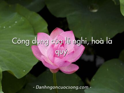 Công dụng của lễ nghi, hoà là quý.