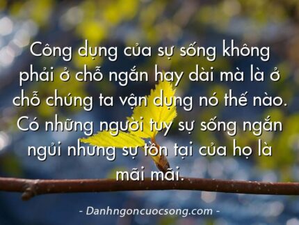 Công dụng của sự sống không phải ở chỗ ngắn hay dài mà là ở chỗ chúng ta vận dụng nó thế nào. Có những người tuy sự sống ngắn ngủi nhưng sự tồn tại của họ là mãi mãi.