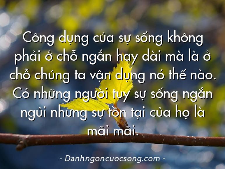 Công dụng của sự sống không phải ở chỗ ngắn hay dài mà là ở chỗ chúng ta vận dụng nó thế nào. Có những người tuy sự sống ngắn ngủi nhưng sự tồn tại của họ là mãi mãi.