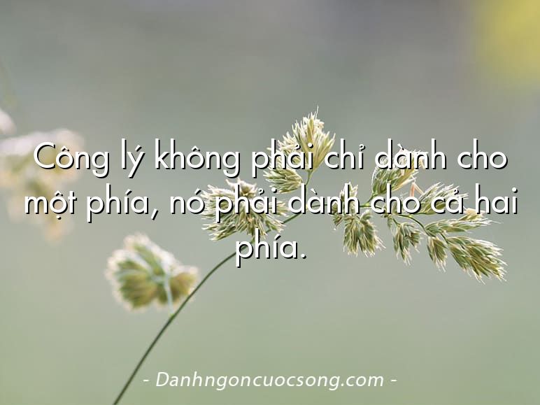 Công lý không phải chỉ dành cho một phía, nó phải dành cho cả hai phía.