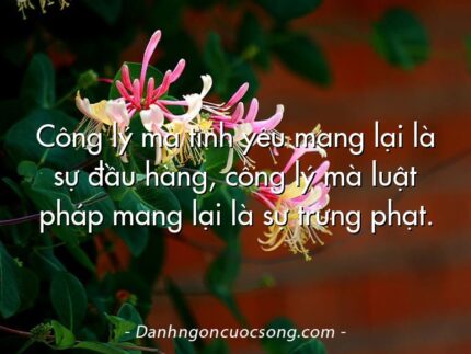 Công lý mà tình yêu mang lại là sự đầu hàng, công lý mà luật pháp mang lại là sự trừng phạt.