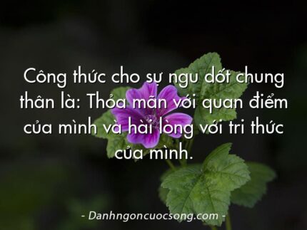 Công thức cho sự ngu dốt chung thân là: Thỏa mãn với quan điểm của mình và hài lòng với tri thức của mình.