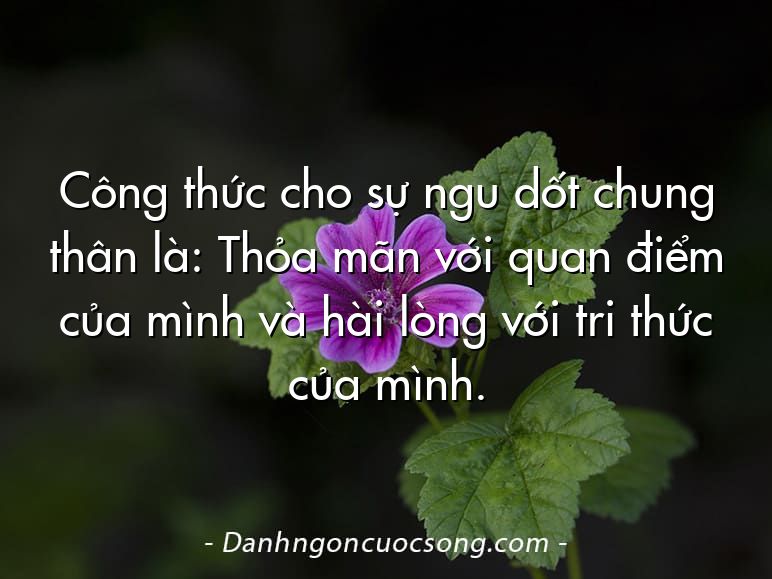 Công thức cho sự ngu dốt chung thân là: Thỏa mãn với quan điểm của mình và hài lòng với tri thức của mình.