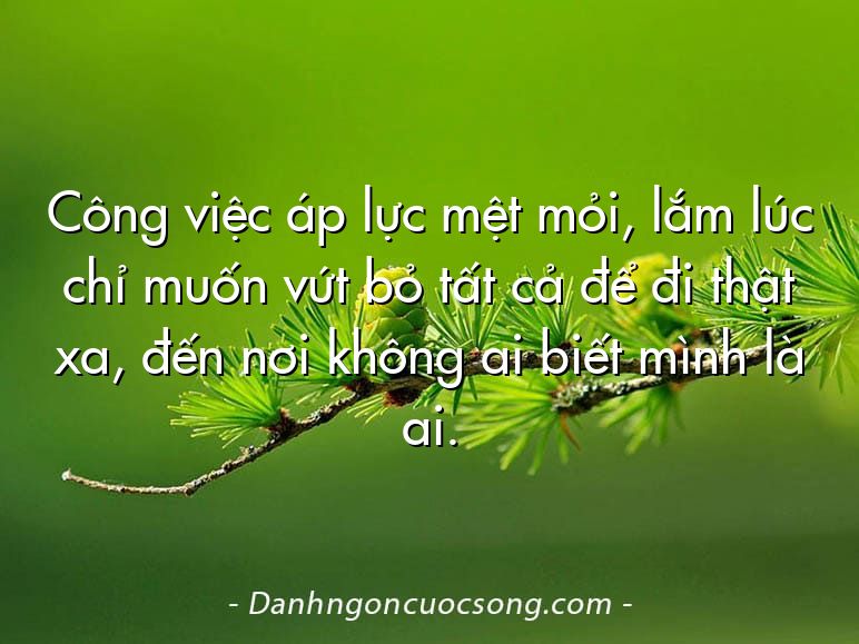 Công việc áp lực mệt mỏi, lắm lúc chỉ muốn vứt bỏ tất cả để đi thật xa, đến nơi không ai biết mình là ai.