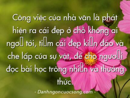 Công việc của nhà văn là phát hiện ra cái đẹp ở chỗ không ai ngờ tới, tìm cái đẹp kín đáo và che lấp của sự vật, để cho người đọc bài học trông nhìn và thưởng thức.