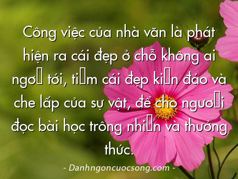 Công việc của nhà văn là phát hiện ra cái đẹp ở chỗ không ai ngờ tới, tìm cái đẹp kín đáo và che lấp của sự vật, để cho người đọc bài học trông nhìn và thưởng thức.