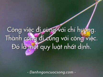 Công việc đi cùng với chí hướng. Thành công đi cùng với công việc. Đó là một quy luật nhất dịnh.
