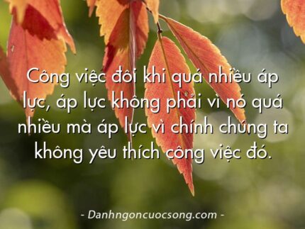 Công việc đôi khi quá nhiều áp lực, áp lực không phải vì nó quá nhiều mà áp lực vì chính chúng ta không yêu thích công việc đó.