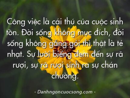 Công việc là cái thú của cuộc sinh tồn. Đời sống không mục đích, đời sống không gắng gỏi thì thật là tẻ nhạt. Sự lười biếng đem đến sự rã rượi, sự rã rượi sinh ra sự chán chường.