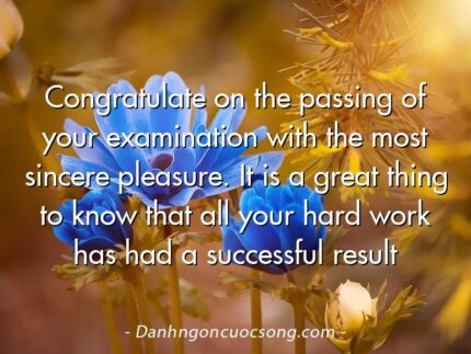Congratulate on the passing of your examination with the most sincere pleasure. It is a great thing to know that all your hard work has had a successful result
