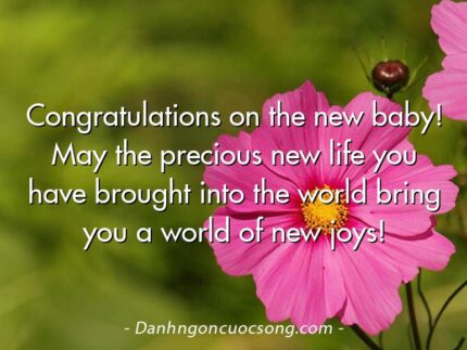 Congratulations on the new baby! May the precious new life you have brought into the world bring you a world of new joys!