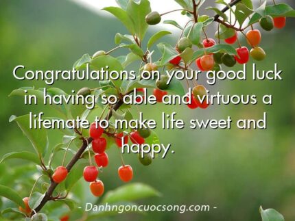 Congratulations on your good luck in having so able and virtuous a lifemate to make life sweet and happy.