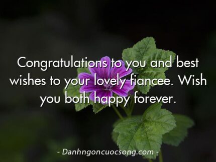Congratulations to you and best wishes to your lovely fiancee. Wish you both happy forever.