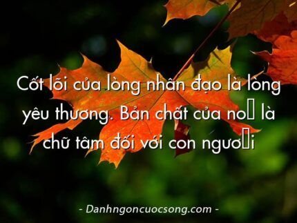 Cốt lõi của lòng nhân đạo là lòng yêu thương. Bản chất của nó là chữ tâm đối với con người
