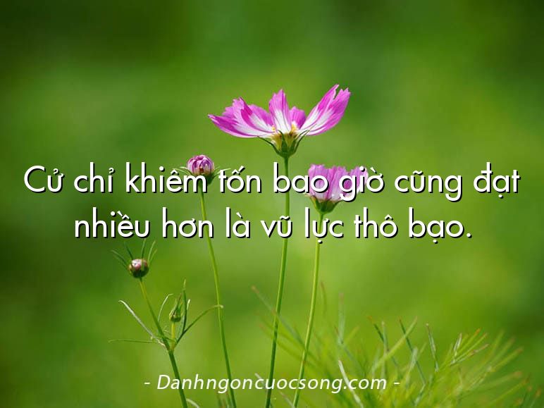 Cử chỉ khiêm tốn bao giờ cũng đạt nhiều hơn là vũ lực thô bạo.