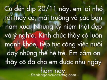 Cứ đến dịp 20/11 này, em lại nhớ tới thầy cô, mái trường và các bạn năm xưa. Những kỷ niệm thật đẹp và ý nghĩa. Kính chúc thầy cô luôn mạnh khỏe, tiếp tục công việc nuôi dạy những thế hệ trẻ. Em cảm ơn thầy cô đã cho em được như ngày hôm nay.