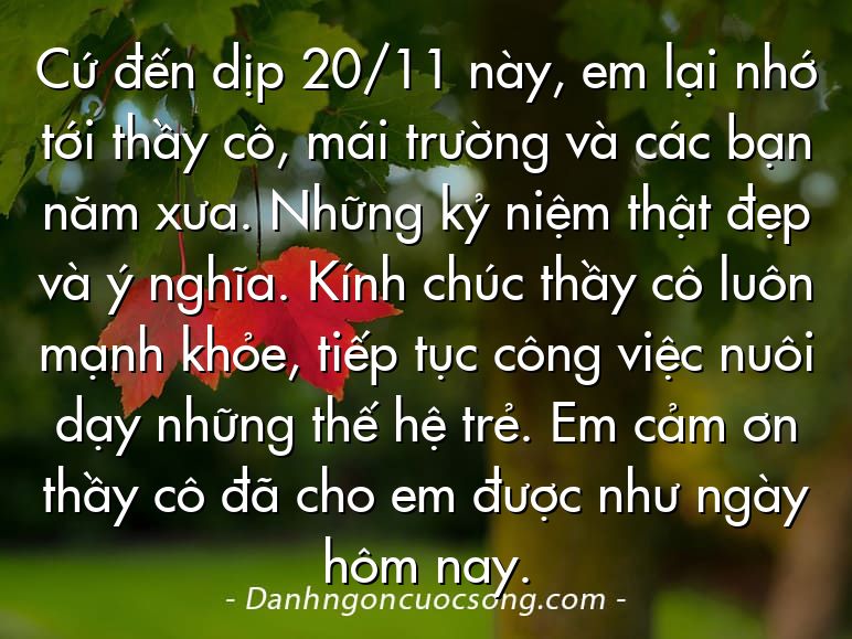 Cứ đến dịp 20/11 này, em lại nhớ tới thầy cô, mái trường và các bạn năm xưa. Những kỷ niệm thật đẹp và ý nghĩa. Kính chúc thầy cô luôn mạnh khỏe, tiếp tục công việc nuôi dạy những thế hệ trẻ. Em cảm ơn thầy cô đã cho em được như ngày hôm nay.
