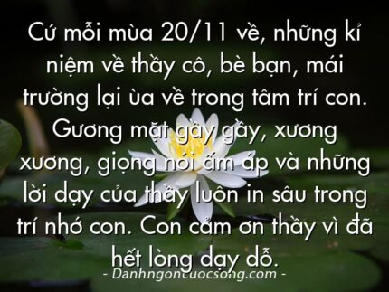 Cứ mỗi mùa 20/11 về, những kỉ niệm về thầy cô, bè bạn, mái trường lại ùa về trong tâm trí con. Gương mặt gầy gầy, xương xương, giọng nói ấm áp và những lời dạy của thầy luôn in sâu trong trí nhớ con. Con cảm ơn thầy vì đã hết lòng dạy dỗ.