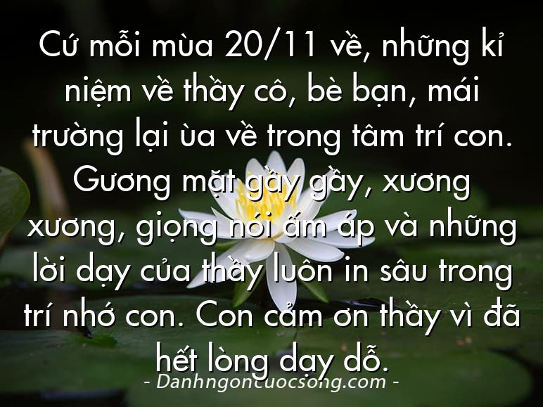 Cứ mỗi mùa 20/11 về, những kỉ niệm về thầy cô, bè bạn, mái trường lại ùa về trong tâm trí con. Gương mặt gầy gầy, xương xương, giọng nói ấm áp và những lời dạy của thầy luôn in sâu trong trí nhớ con. Con cảm ơn thầy vì đã hết lòng dạy dỗ.