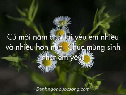 Cứ mỗi năm anh lại yêu em nhiều và nhiều hơn nữa. Chúc mừng sinh nhật em yêu!