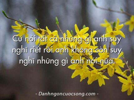 Cứ nói tất cả những gì anh suy nghĩ riết rồi anh không còn suy nghĩ những gì anh nói nữa.