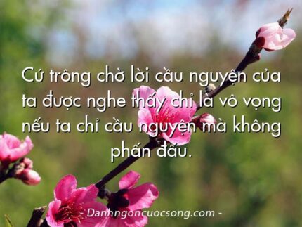 Cứ trông chờ lời cầu nguyện của ta được nghe thấy chỉ là vô vọng nếu ta chỉ cầu nguyện mà không phấn đấu.