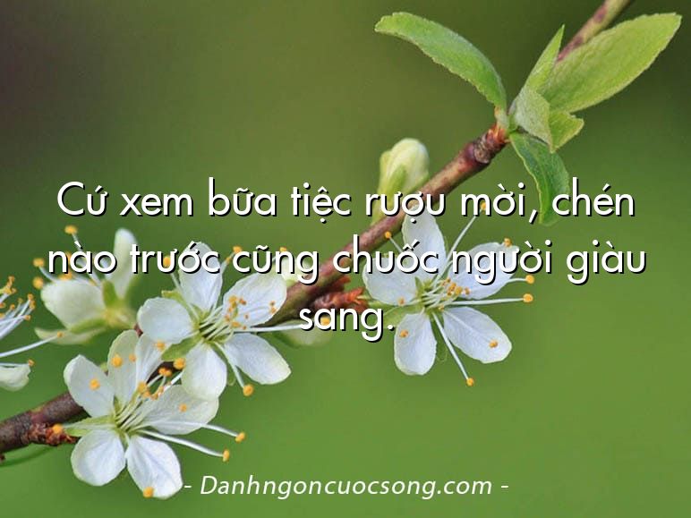 Cứ xem bữa tiệc rượu mời, chén nào trước cũng chuốc người giàu sang.