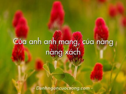 Của anh anh mang, của nàng nàng xách