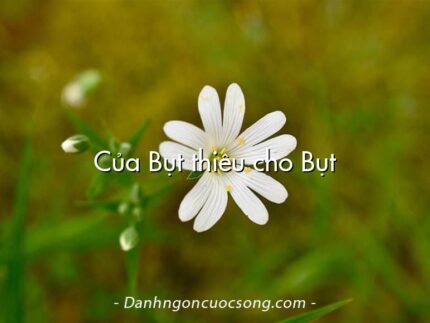 Của Bụt thiêu cho Bụt