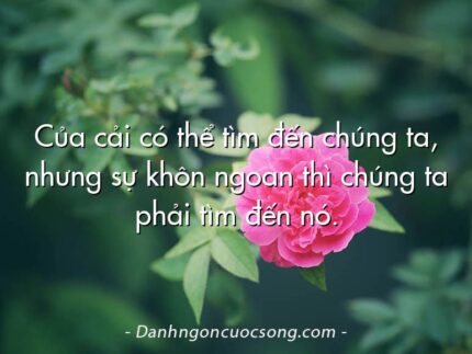 Của cải có thể tìm đến chúng ta, nhưng sự khôn ngoan thì chúng ta phải tìm đến nó.