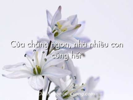 Của chẳng ngon, nhà nhiều con cũng hết