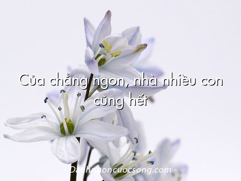 Của chẳng ngon, nhà nhiều con cũng hết