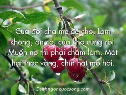Của đời cha mẹ để cho, Làm không, ăn có, của kho cũng rồi. Muốn no thì phải chăm làm, Một hạt thóc vàng, chín hạt mồ hôi.
