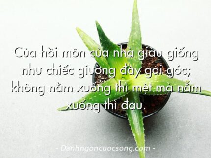 Của hồi môn của nhà giàu giống như chiếc giường đầy gai góc; không nằm xuống thì mệt mà nằm xuống thì đau.