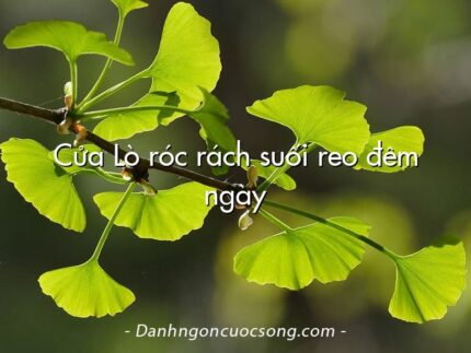 Cửa Lò róc rách suối reo đêm ngày